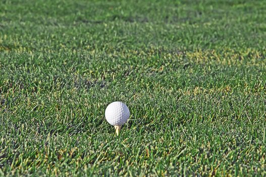 Golf ball on a tee ready for a drive into the trees.
