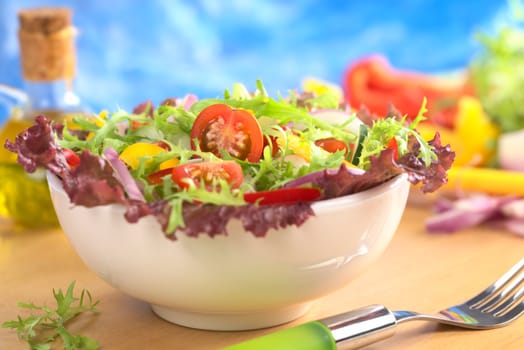 Fresh mixed salad from red-leaf lettuce, curly endive (frisee), cherry tomato, red onion, cucumber and red and yellow bell pepper in white bowl (Selective Focus, Focus on the cherry tomato half) 
