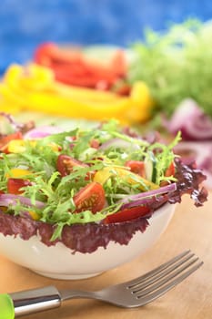 Fresh mixed salad from red-leaf lettuce, curly endive (frisee), cherry tomato, red onion, cucumber and red and yellow bell pepper in white bowl with fork in front and ingredients in the back (Selective Focus, Focus on the tomato in the front) 