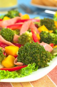 Fresh broccoli salad with lettuce, bell pepper, ham, mango and pomegranate (Selective Focus, Focus on the broccoli floret in the front)