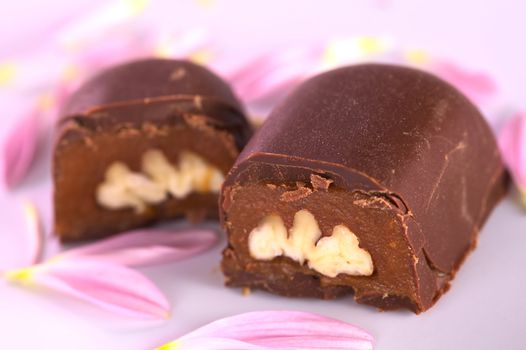 Two pecan nut truffle halves surrounded by pink petals (Selective Focus, Focus on the upper right corner of the pecan nut filling in the right truffle half)