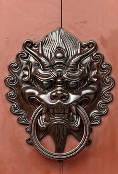 lion door lock