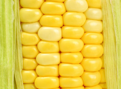 corn