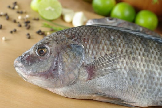 Raw fish called Tilapia surrounded by spices, herbs and seasonings (Selective Focus, Focus on the eye of the fish)