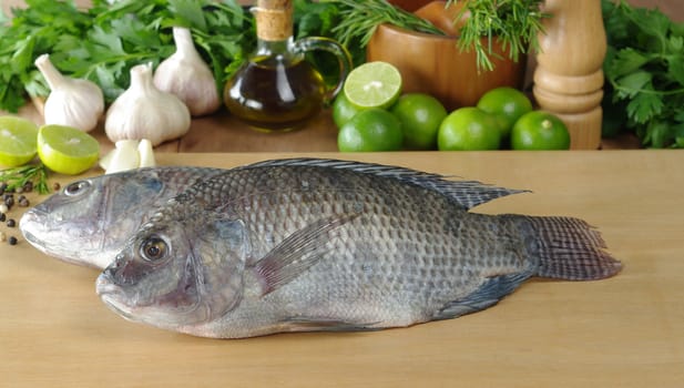 Raw fish called Tilapia on cutting board surrounded by spices, herbs and seasonings (Selective Focus, Focus on the head and the body of the first fish)