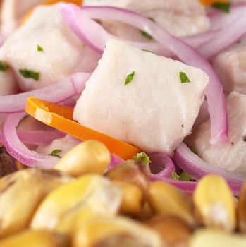 Peruvian-style ceviche made out of raw dogfish (Spanish: tollo), red onions and aji (Peruvian hot pepper) and served with roasted corn (cancha) (Selective Focus, Focus on the fish)