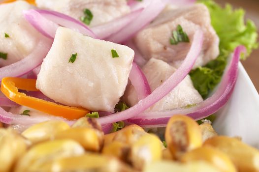 Peruvian-style ceviche made out of raw dogfish (Spanish: tollo), red onions and aji (Peruvian hot pepper) and served with roasted corn (cancha) (Selective Focus, Focus on the fish)