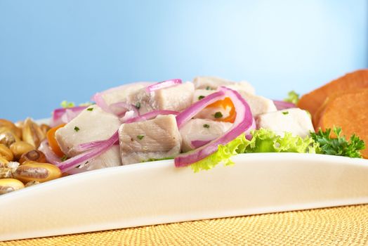 Peruvian-style ceviche made out of raw dogfish (Spanish: tollo), red onions and aji (Peruvian hot pepper) and served with roasted corn (cancha) and sweet potato (Selective Focus, Focus on the front of the fish)