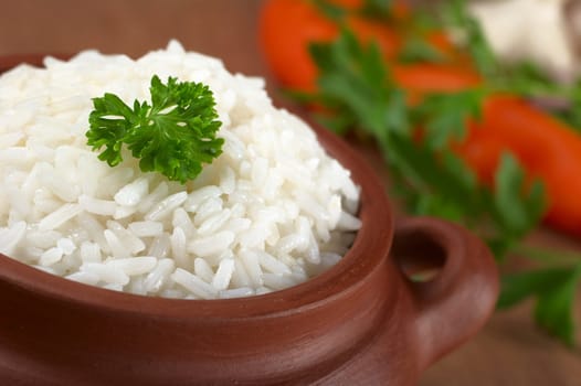 Cooked white rice garnished with parsley in a rustic bowl (Selective Focus, Focus on the parsley and the rice around)