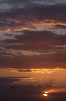 Multi-colored clouds during the sunset in the evening