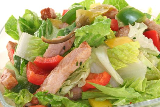 Mixed salad with turkey strips and fresh herbs