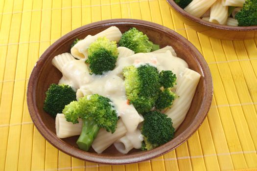 Tortiglione with broccoli and cheese and cream sauce