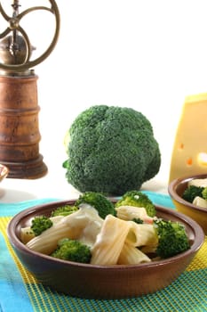 Tortiglione with broccoli and cheese and cream sauce