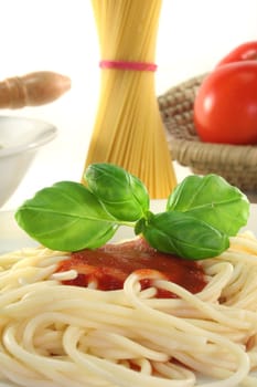 Spaghetti with tomato sauce and fresh basil