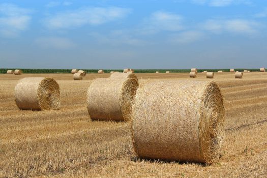 straw bales agriculture industry