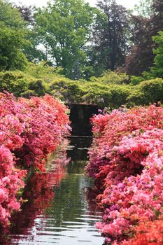 A see through in a park with various rhododendron colors