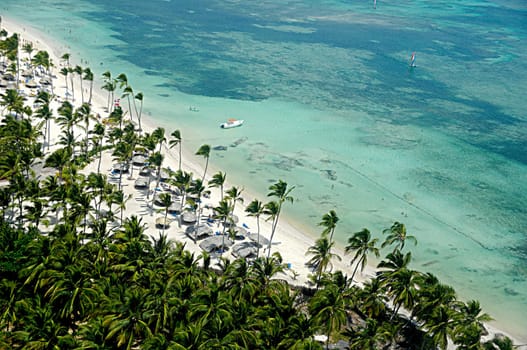 Flying over tropical beach with palms and white sand