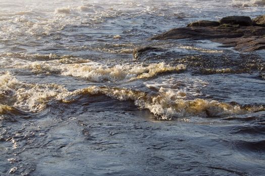 august foggy morning: river, forest, rock
