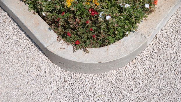 A path in a park with flowers
