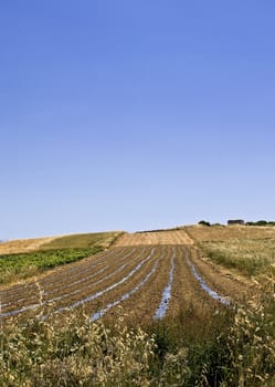 Beautiful Mediterranean countryside in Malta during late winter