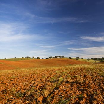 empty and dry rural landscape