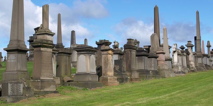 The Glasgow necropolis, Victorian gothic garden cemetery in Scotland