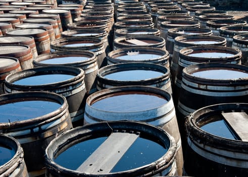 Tops of scotch whisky barrels