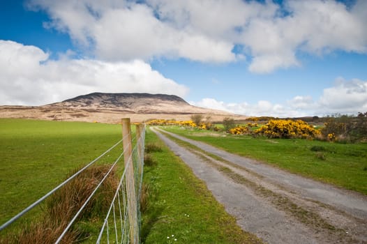 Road on the isle of Island, Scotland
