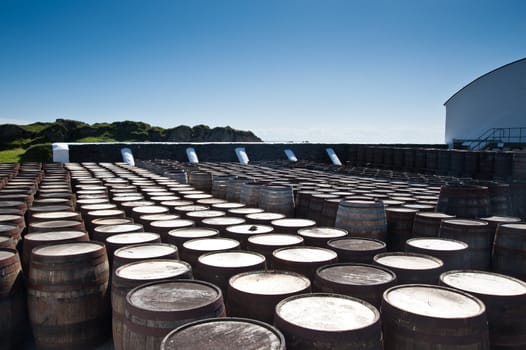 Tops of scotch whisky barrels