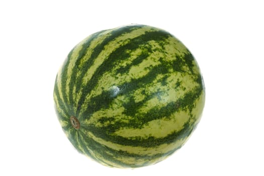 one Watermelon, photo on the white background