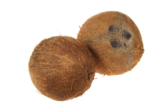 two coconut, photo on the white background