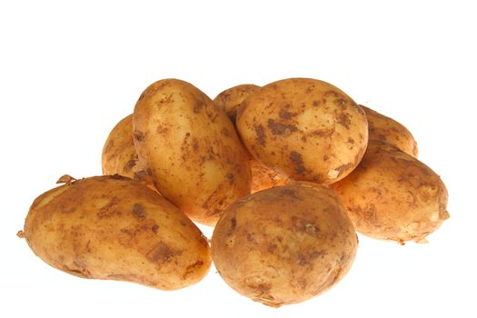 bunch of potatoes photo on the white background