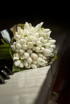 Bouquet of snowdrops laying on the piano keaboard