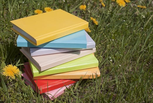 Stack of the books laying on the grass