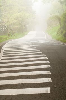 Mist on road in forest in daytime with nobody.