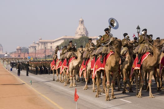 Mounted band of the Indian Army Camel Corps parading down the Raj Path in preparation for the Republic Day Parade, New Delhi, India