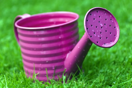a watering  can on the grass