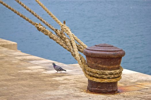 Rusty mooring bollard with ship ropes on Zadar docks