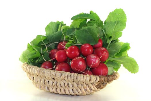 fresh radishes with green leaves in a basket