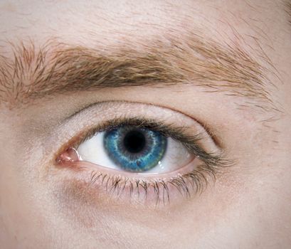 Macro shot of a blonde man's single blue eye