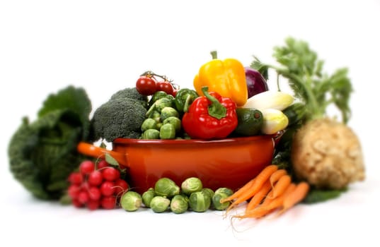 Composition of several fruits and vegetables