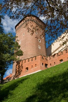 This is a part of the Castle in Krakow, Poland.