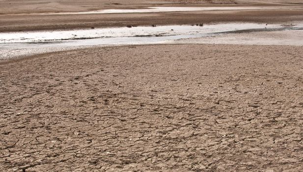 Rest of the Water on bottom of the dried lake