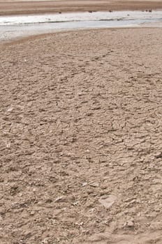 Rest of the Water on bottom of the dried lake