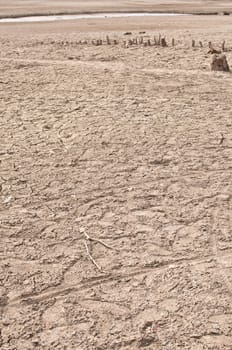 Rest of the Water on bottom of the dried lake