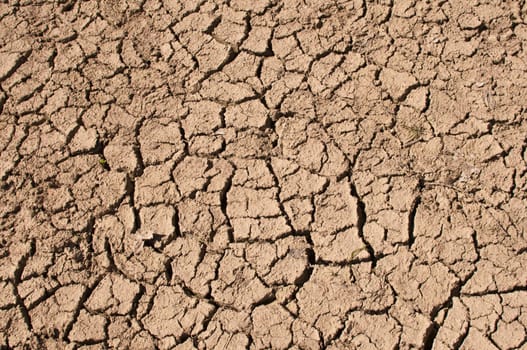 Close-up of bottom of the dried lake