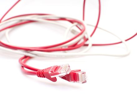 Red and White Ethernet RJ45 Cables on White Background