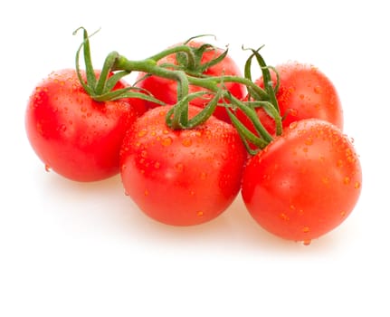 Bunch of Fresh Tomatoes on White Background