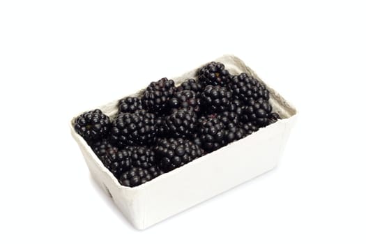 fresh blackberry, photo on the white background