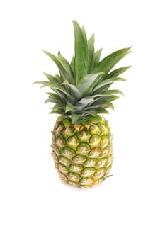 ripe pineapple photo on the white background